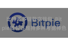 比特派多链数字钱包 Bitpie钱包还维持多种考据神色