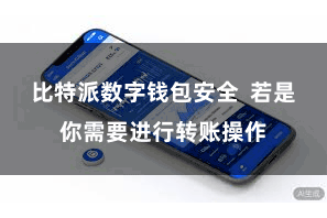 比特派数字钱包安全  若是你需要进行转账操作