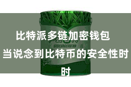 比特派多链加密钱包  当说念到比特币的安全性时