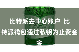 比特派去中心账户  比特派钱包通过私钥为止资金