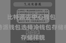 比特派去中心钱包  比特派钱包选择冷钱包存储样貌