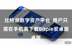 比特派数字资产平台  用户只需在手机高下载Bitpie安卓版
