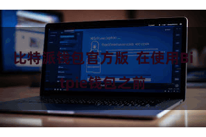 比特派钱包官方版  在使用Bitpie钱包之前