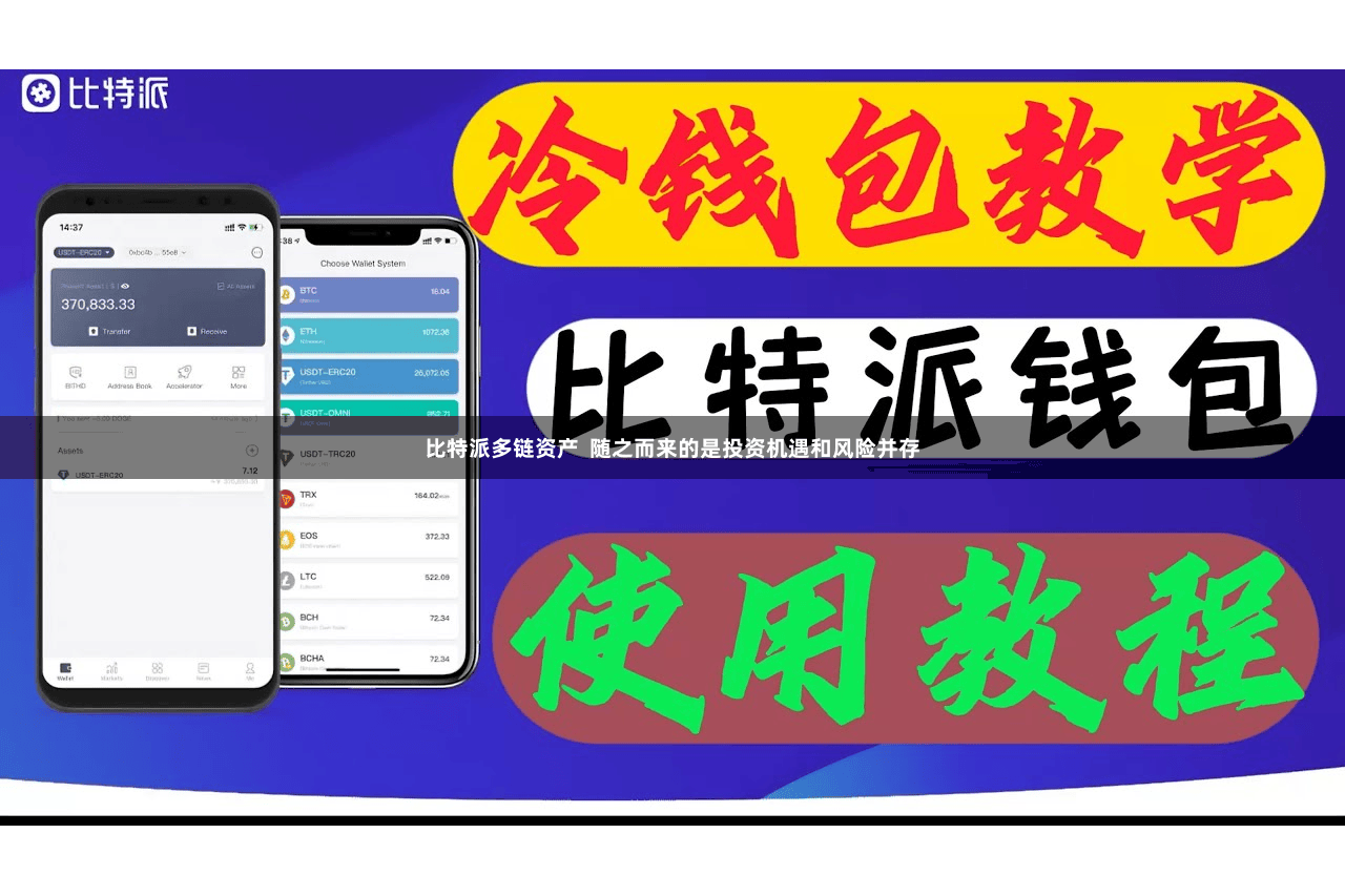 比特派多链资产  随之而来的是投资机遇和风险并存