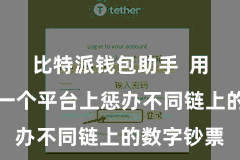 比特派钱包助手  用户不错在一个平台上惩办不同链上的数字钞票