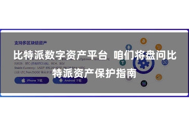 比特派数字资产平台 咱们将盘问比特派资产保护指南
